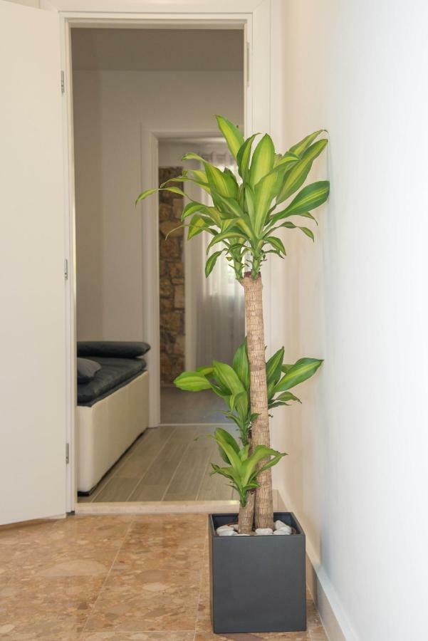 Luxury Apartments Petrovac Sinj Exterior photo